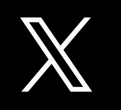 X Icon
