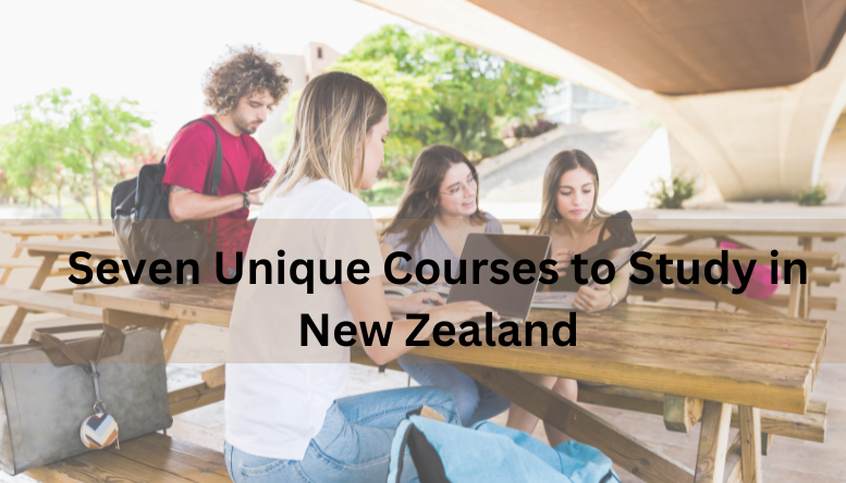  Seven Unique Courses to Study in New Zealand 