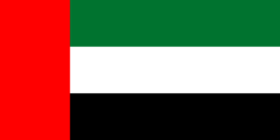 study in Consultants In Dubai